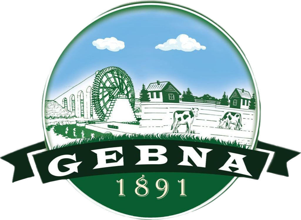 default-logo
