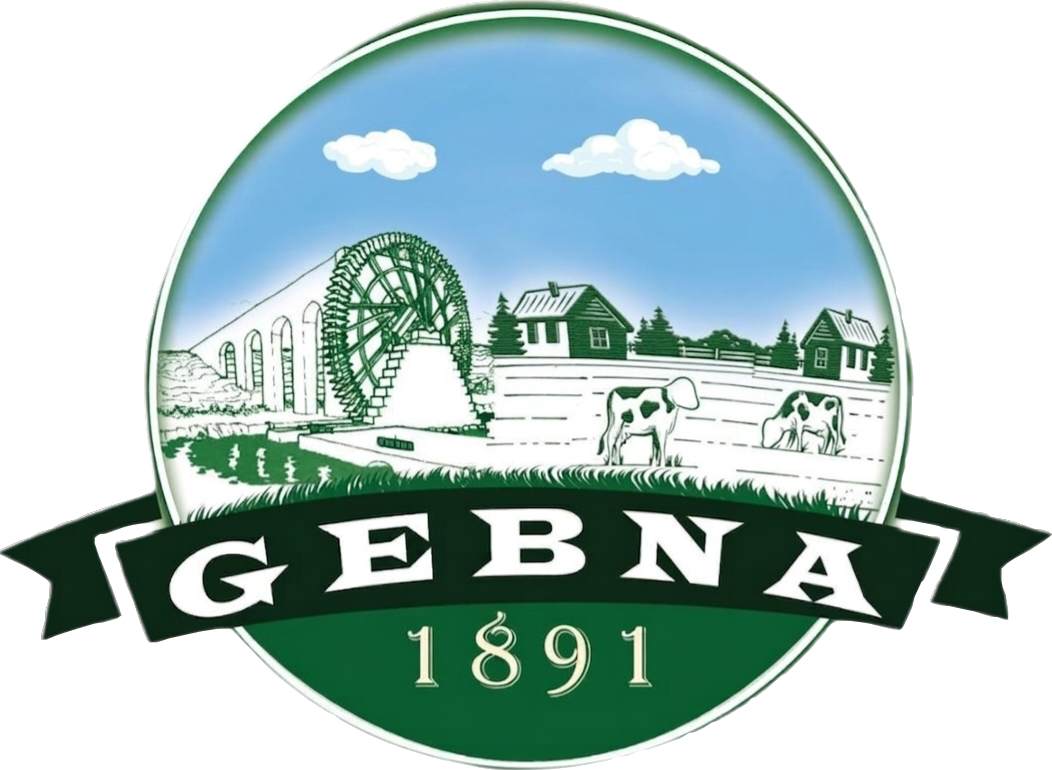 Logo-without_Background